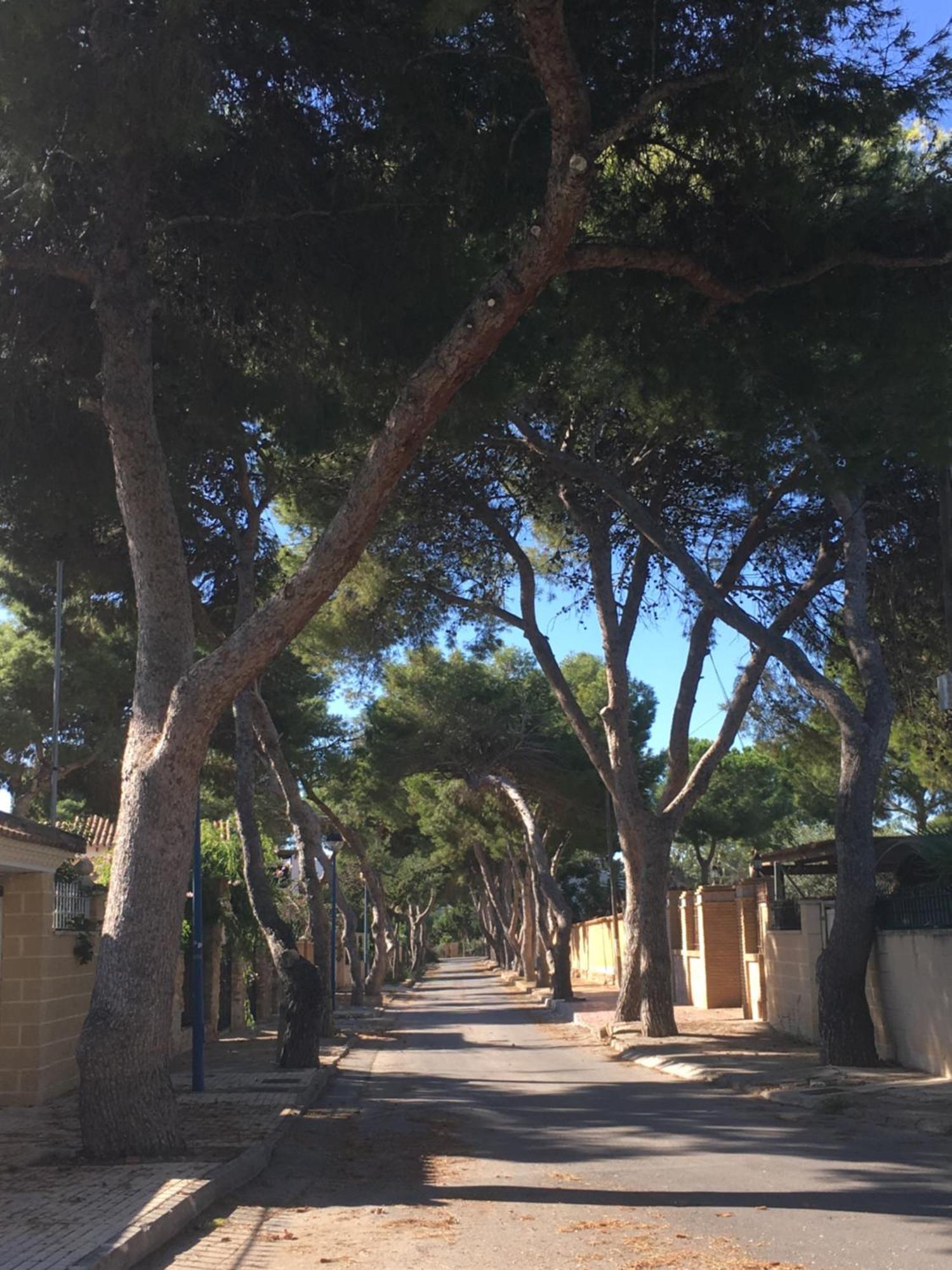 Feriehus Alicante Торевьиа Экстерьер фото
